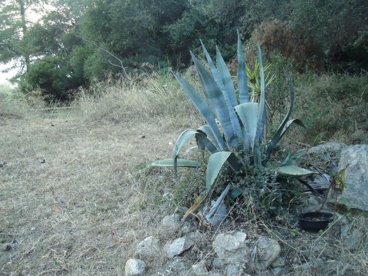 Aliki Villa Nea Skioni