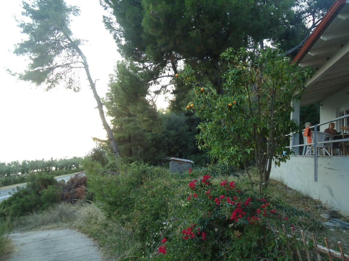 Villa Aliki *