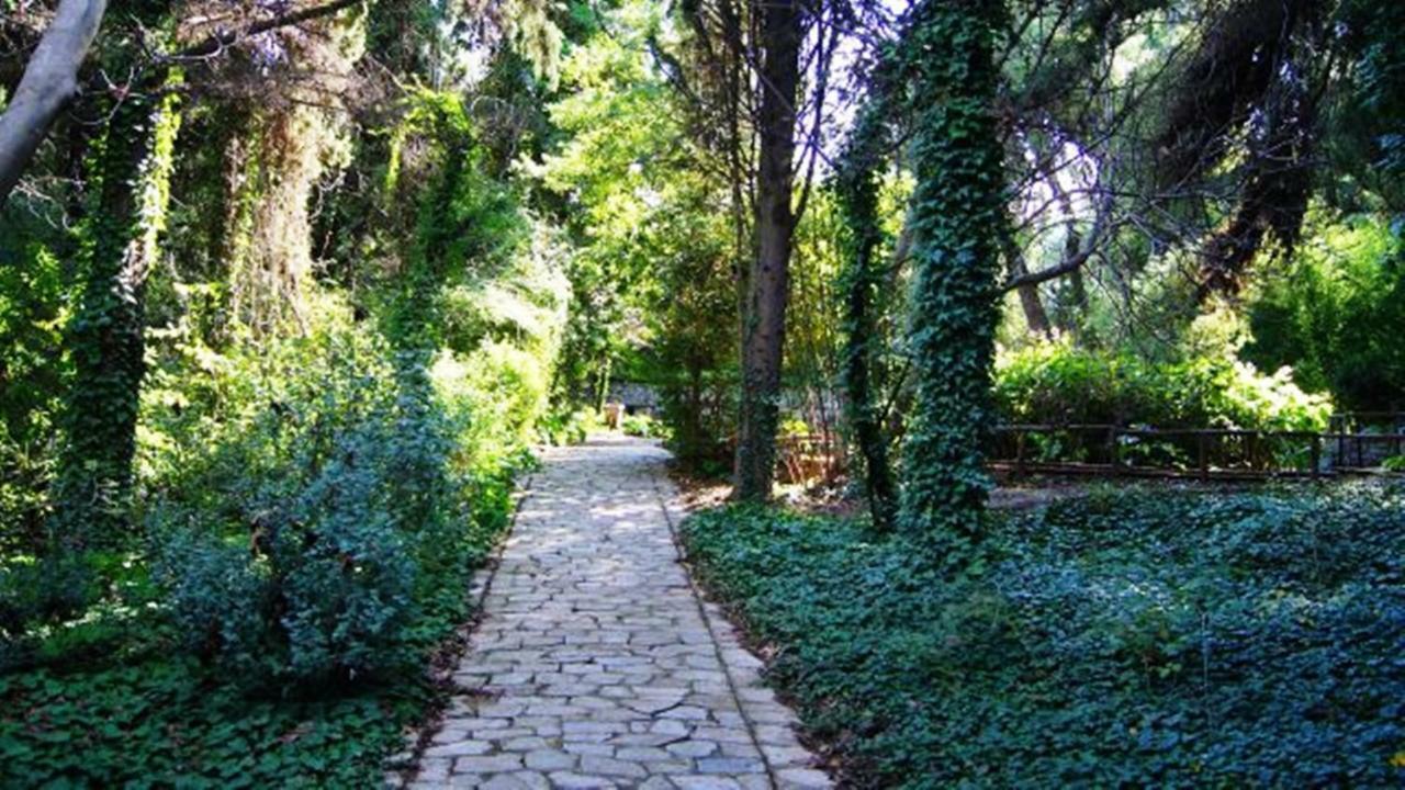 Greek Hospitality Athens