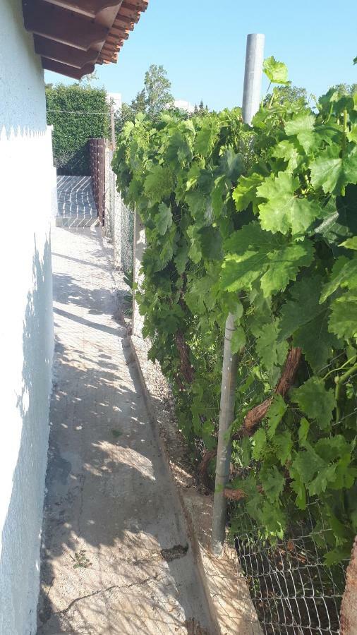 Vourleza Vacation House Near Airport * Porto Rafti