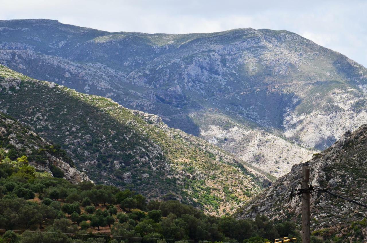 Viva Elafonisi Holiday home