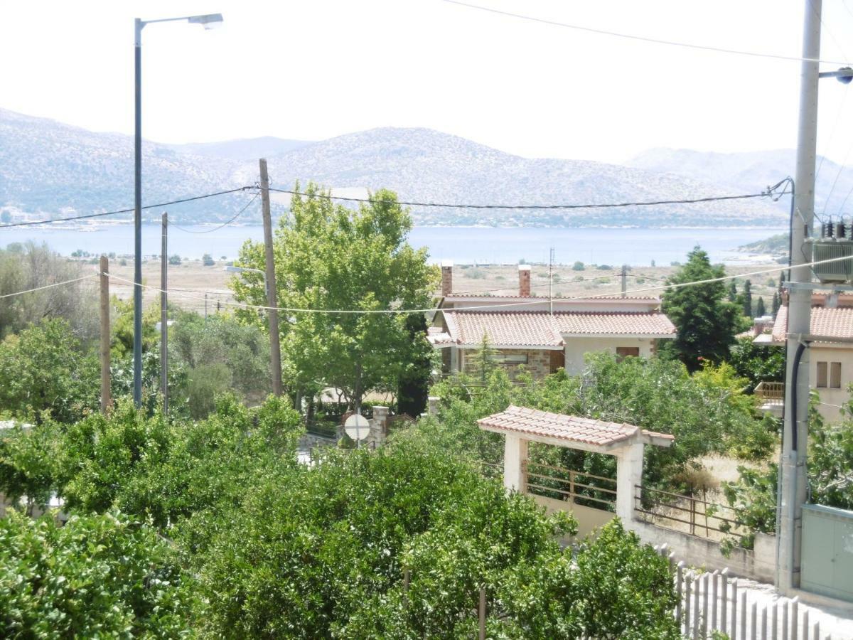 Lemon Tree
