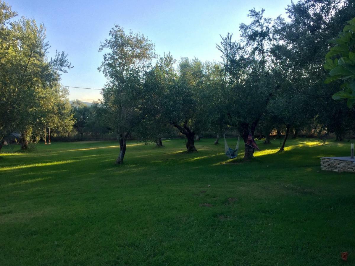 Apartment Anastasios Olive Garden Petalidi