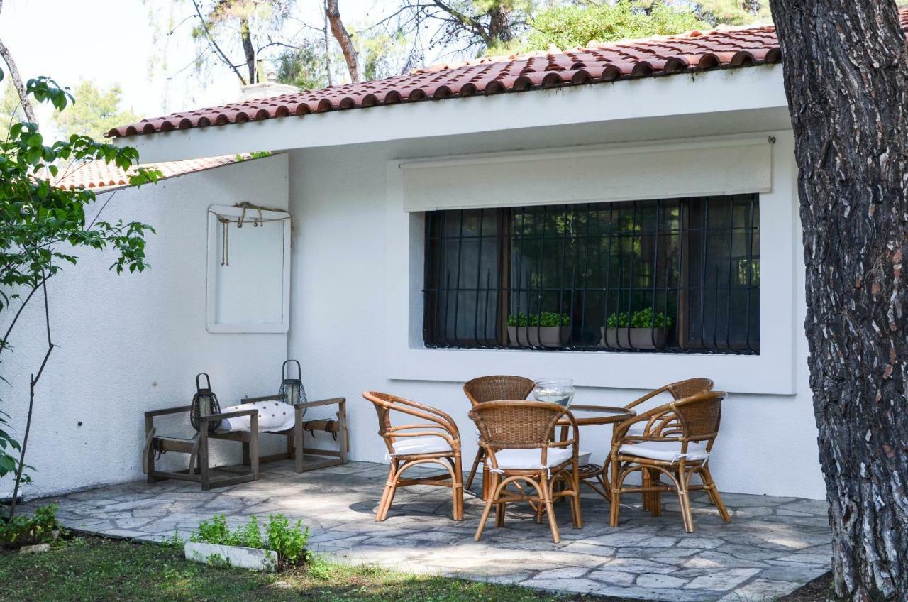 Irini In Sani Villa