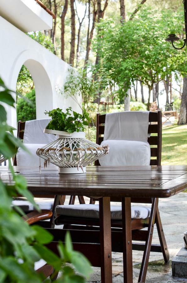 Irini In Sani Villa
