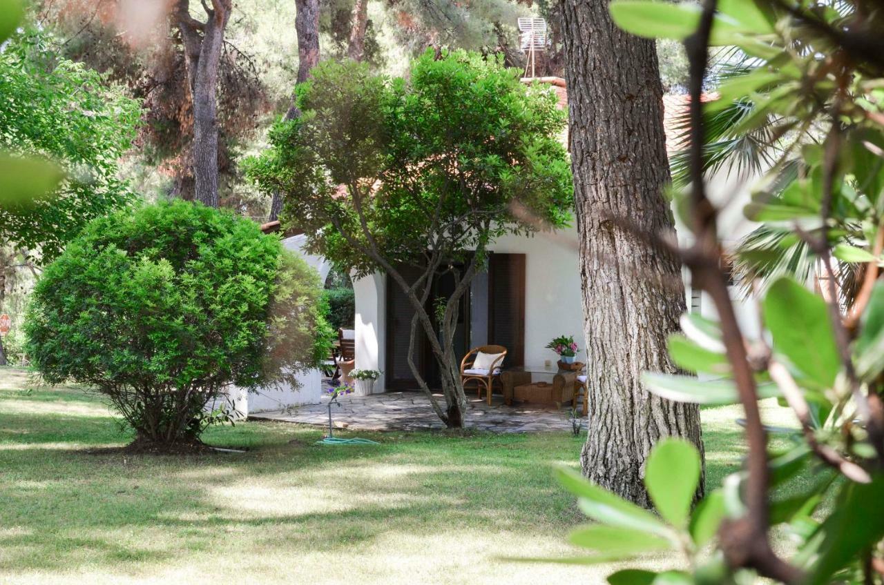 Irini In Sani Villa *