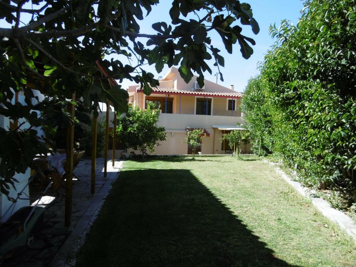 Lemon Tree Villa