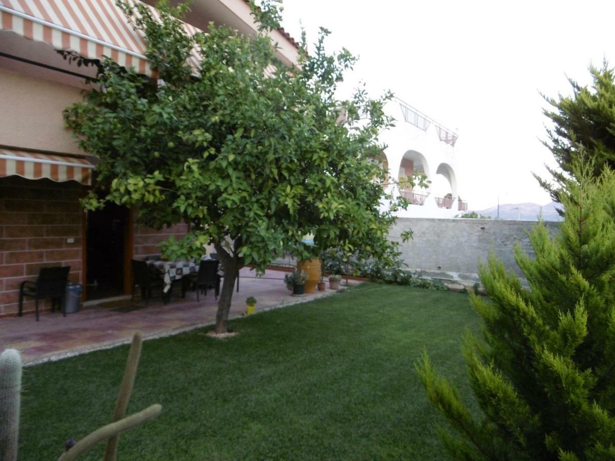 Lemon Tree Anavyssos