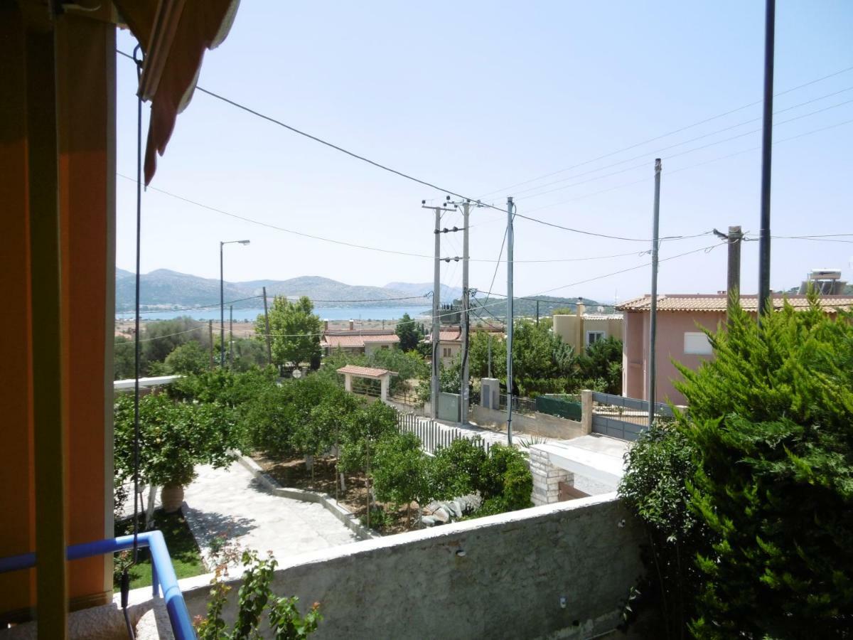 Lemon Tree * Anavyssos