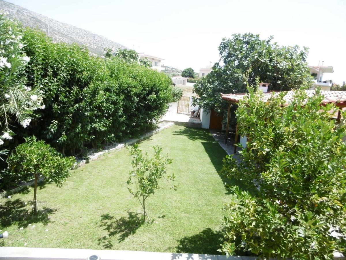 Lemon Tree * Anavyssos