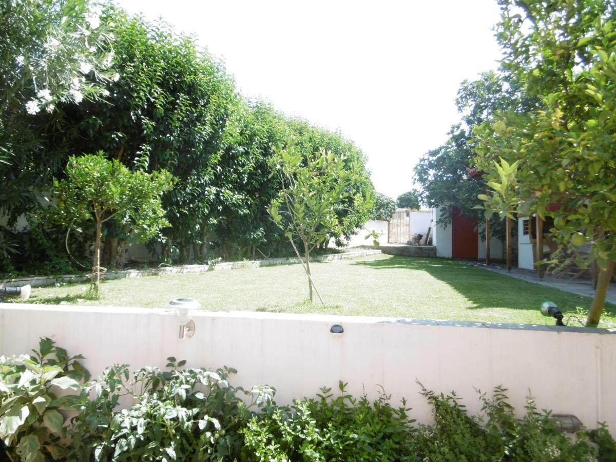 Villa Lemon Tree