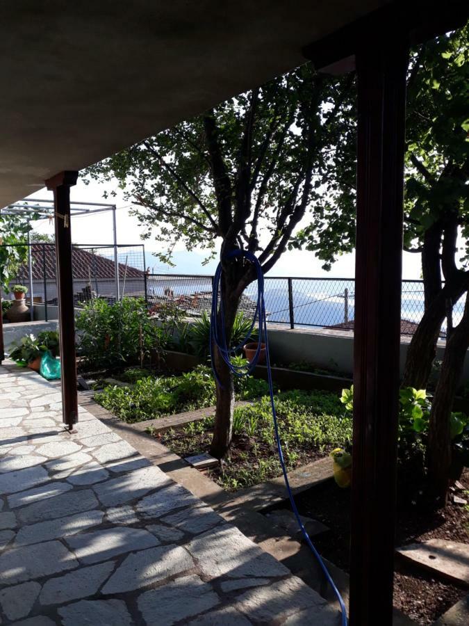 Atrium - Lafkos