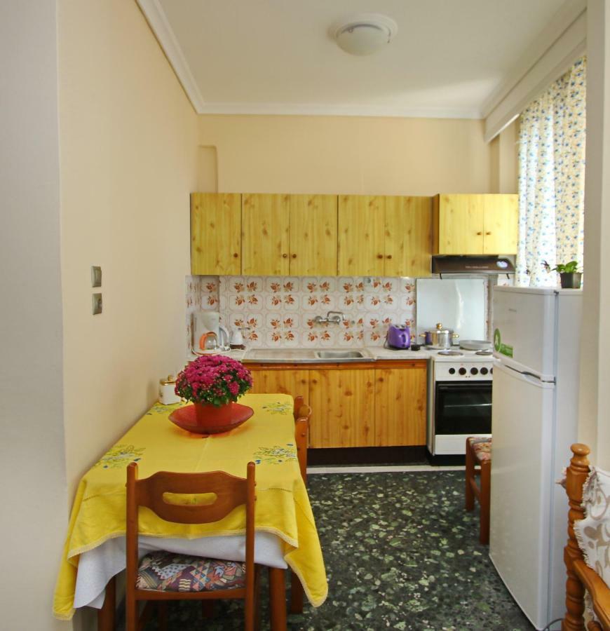 Konstantina's House Apartment Palaiontsiflikion