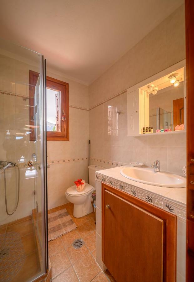 Snow Captain Country house Arachova
