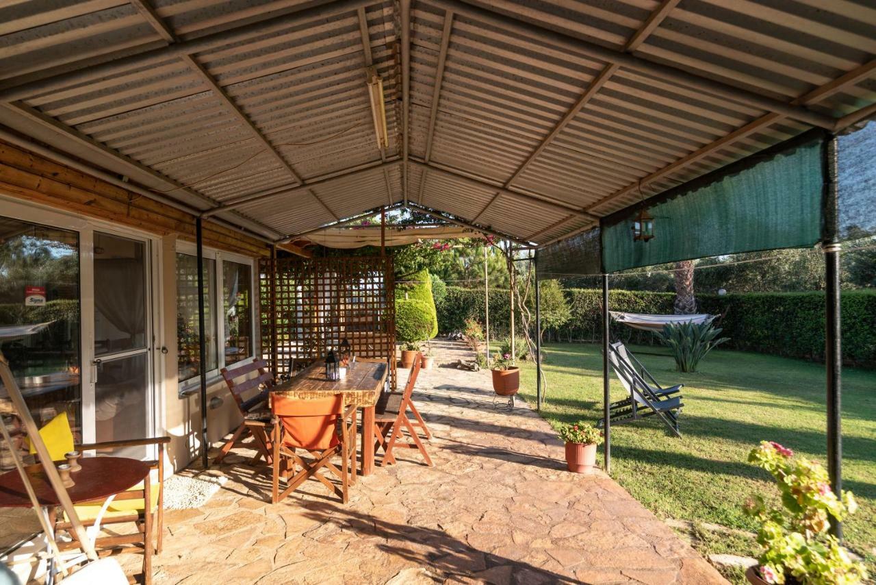Olives House Holiday home *