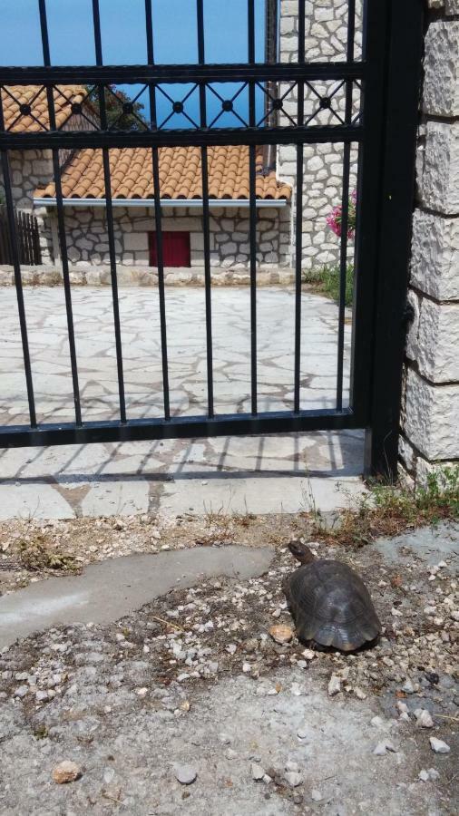 Harmony And Horizon Villa Athanion