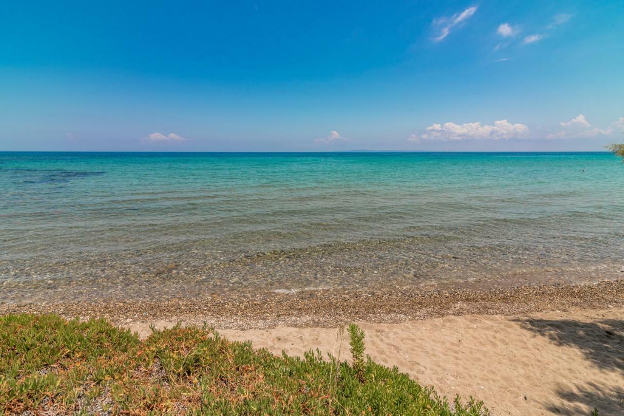 Porto Vasilikos *