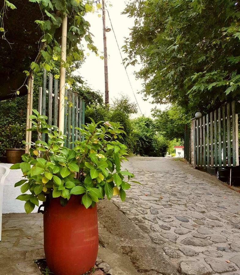 Guest house Stergiou Therma (Samothraki)