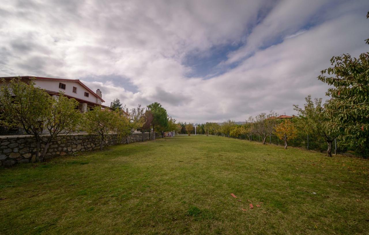 Country house Snow Captain Arachova