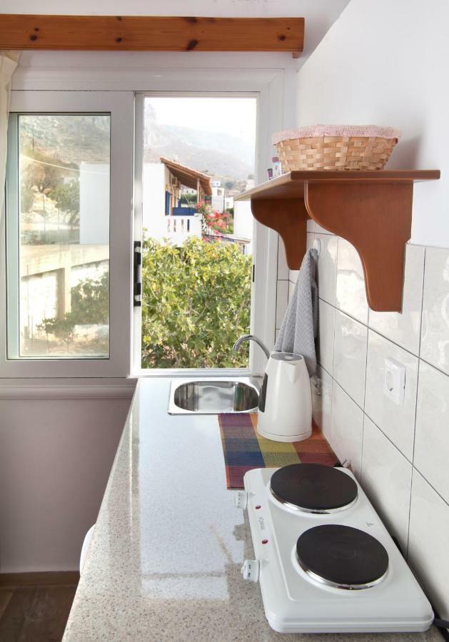 Apartment Manolakis Pizanias *