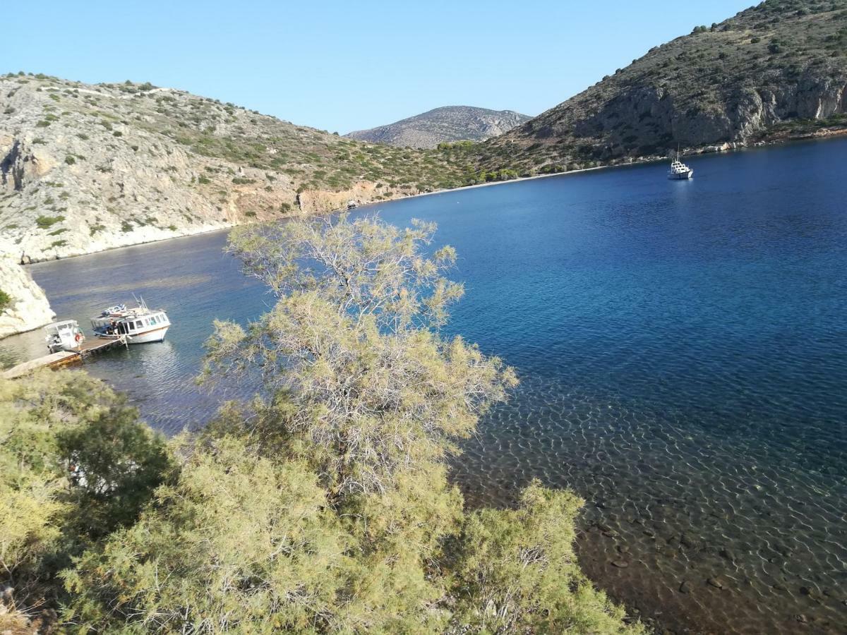 Stone House In Olive Grove Holiday home Tolo