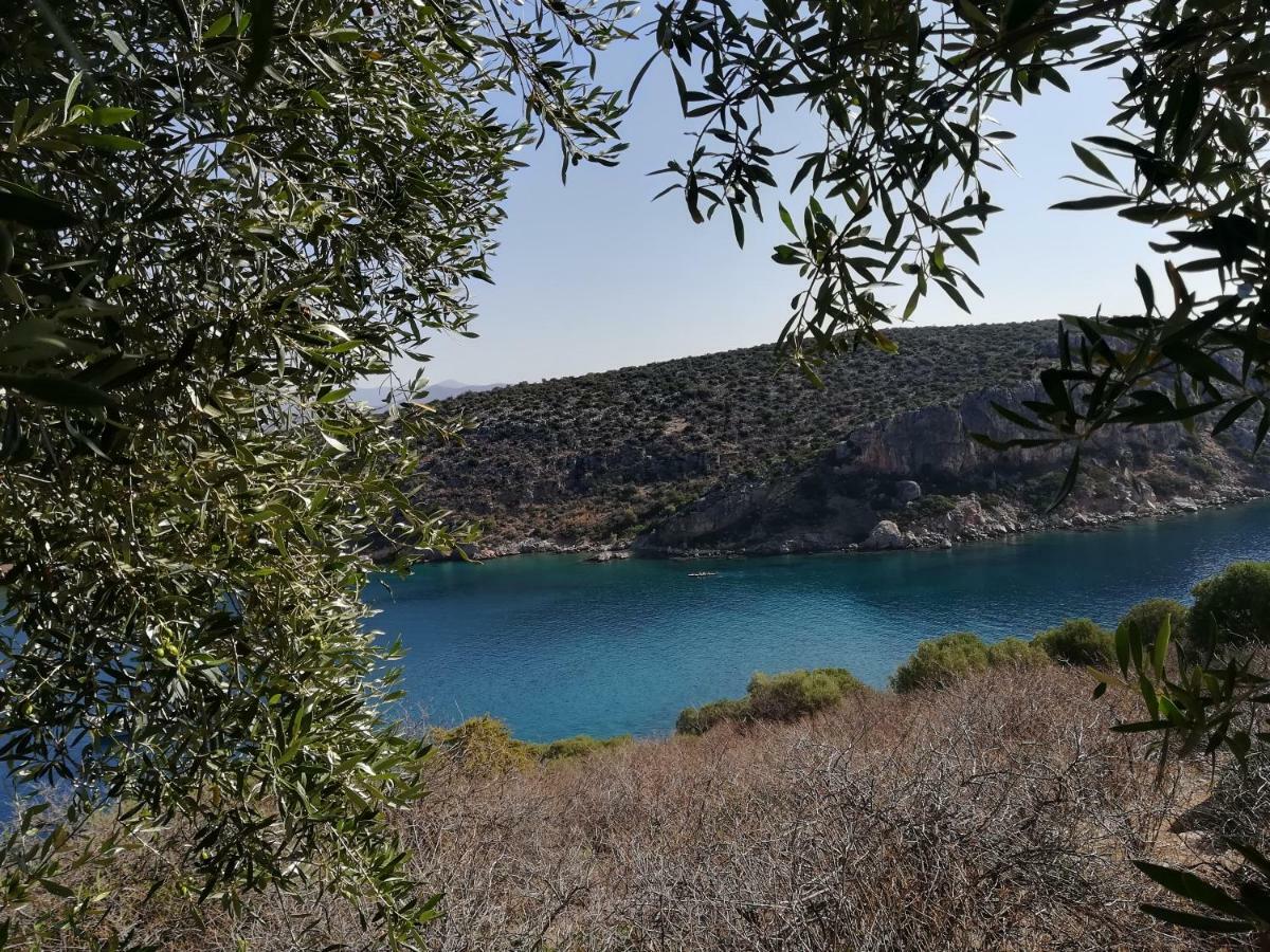 Stone House In Olive Grove