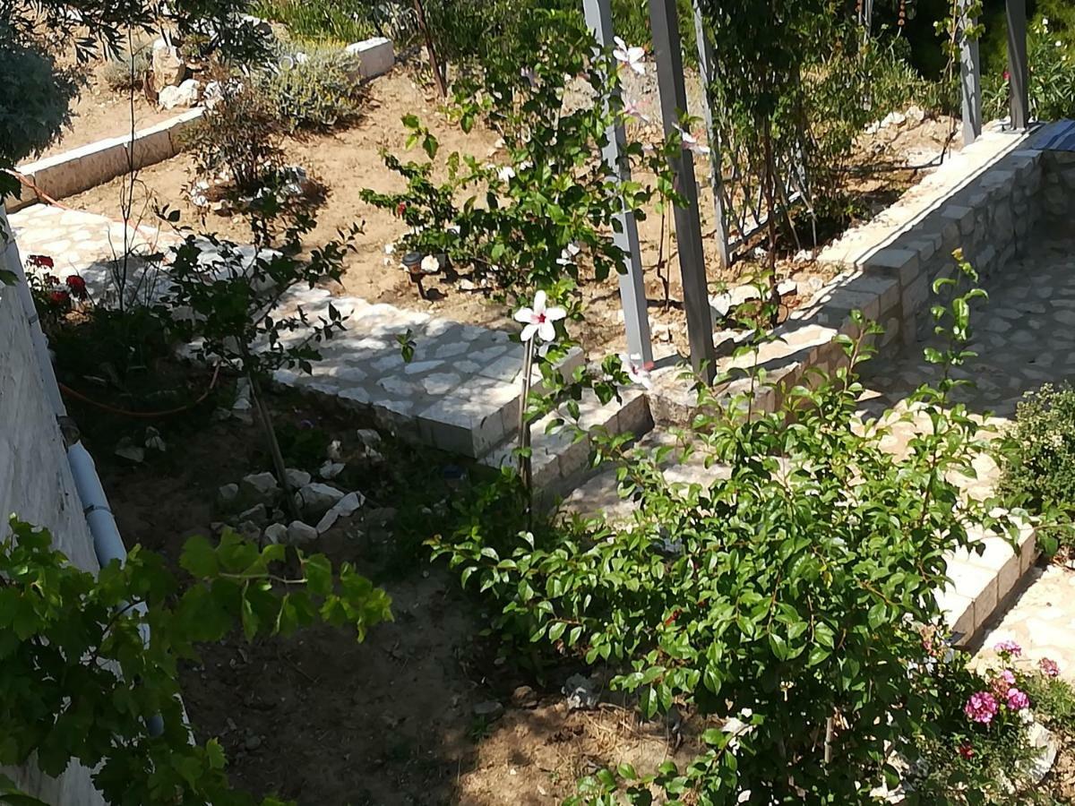 Stone House In Olive Grove Tolo