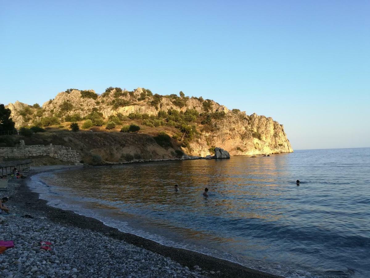 Stone House In Olive Grove *