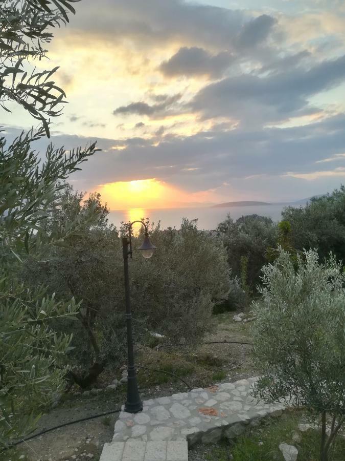 Stone House In Olive Grove * Tolo