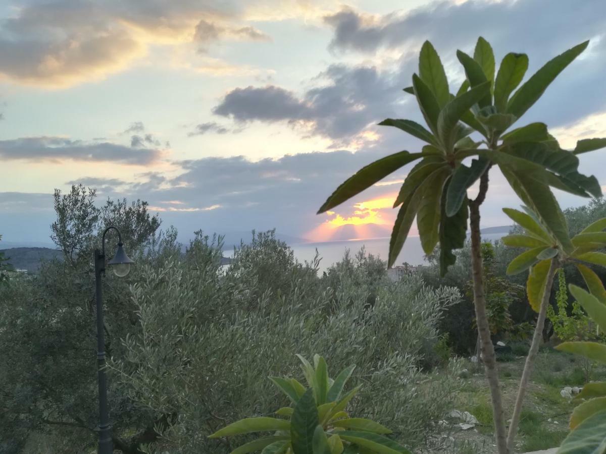 Holiday home Stone House In Olive Grove