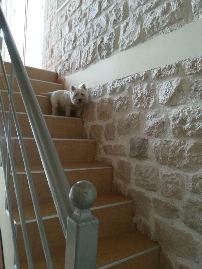 Stone House In Olive Grove *