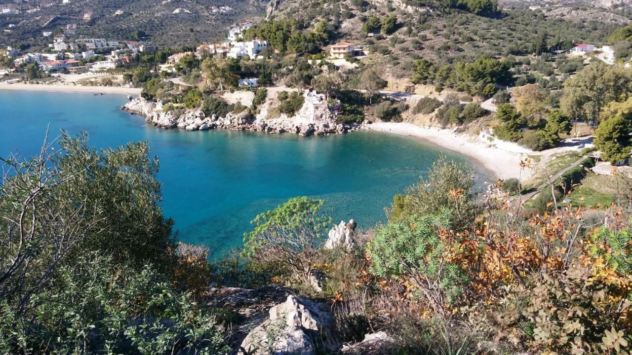 Holiday home Stone House In Olive Grove Tolo