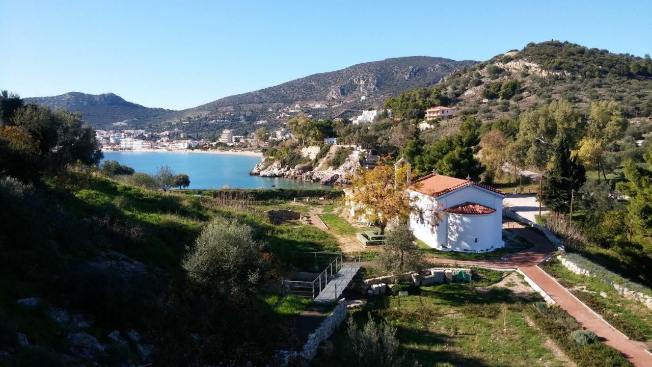 Stone House In Olive Grove