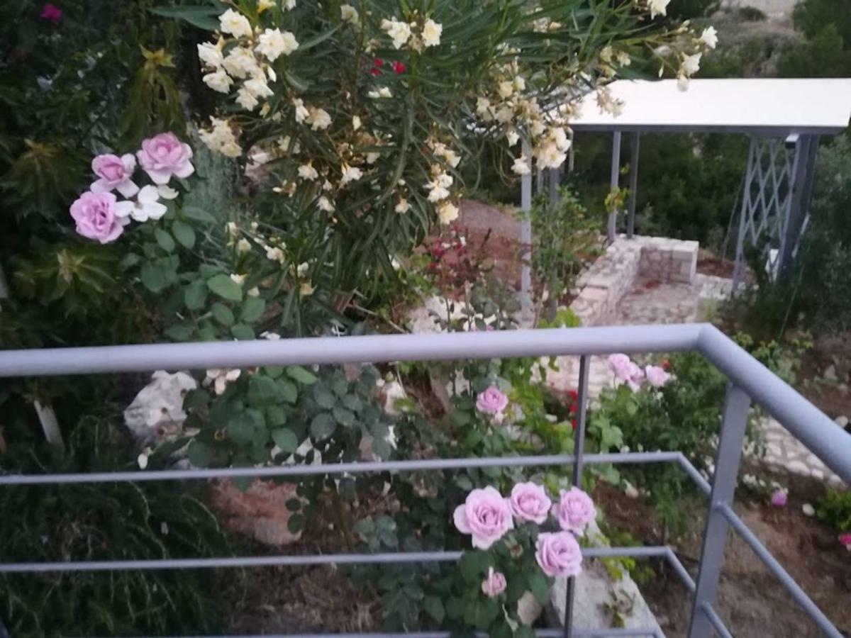 Stone House In Olive Grove *