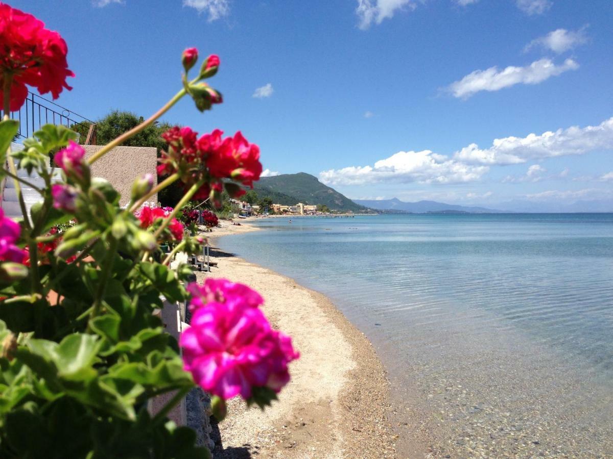 Villa Ionian Pearl Luxury *