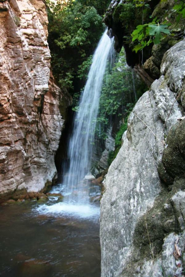 Holiday park Ionianeon Agios Ilias (Elis)