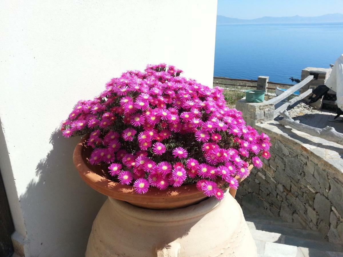 Aegean View - Seaside In Syros Holiday home Azolimnos