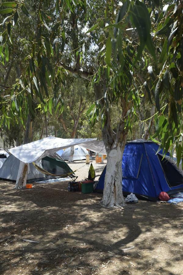 Campsite Kea Pisses