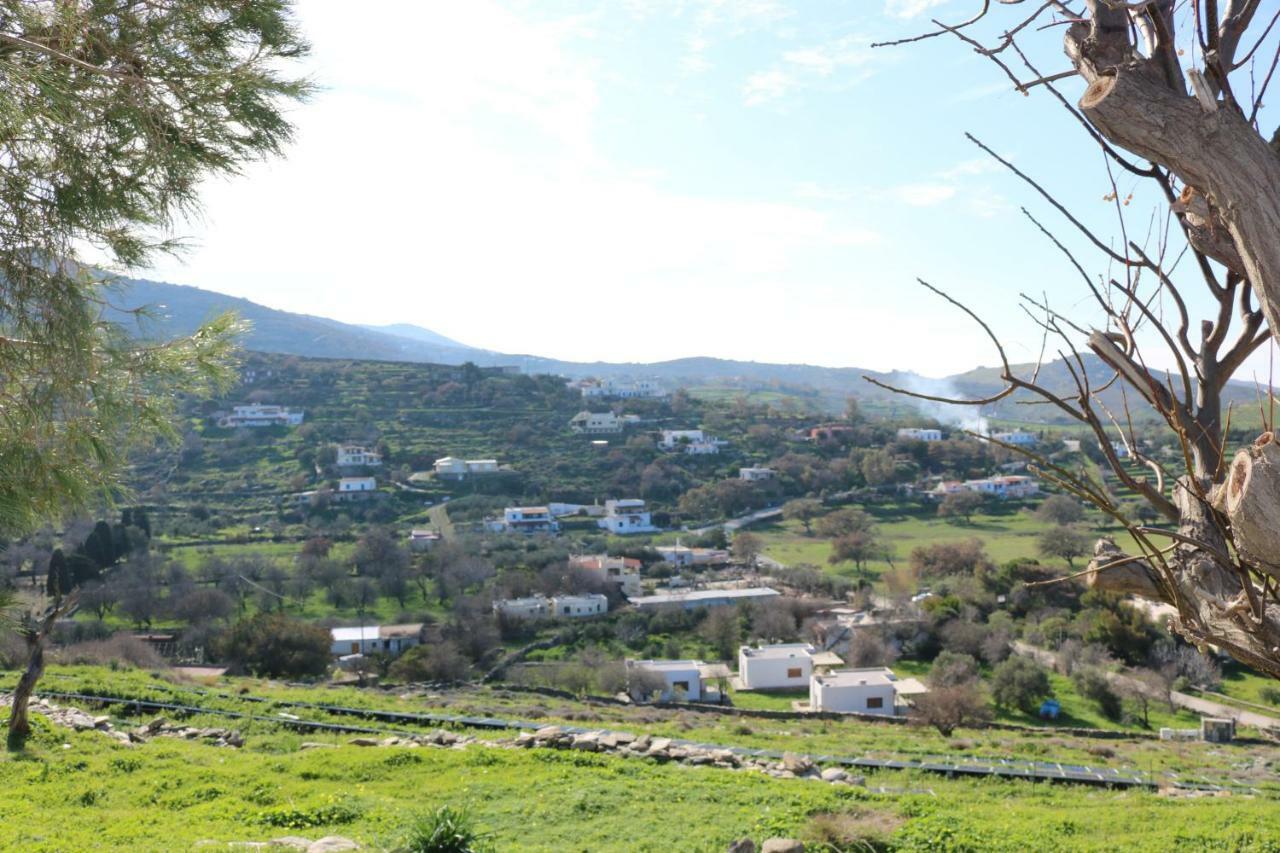 Avgoustis' Stone House * Otzias