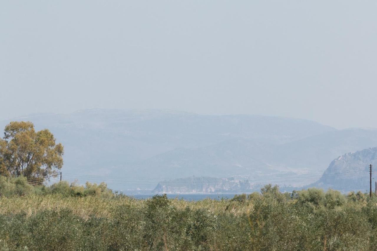 Holiday home Glyfada ||