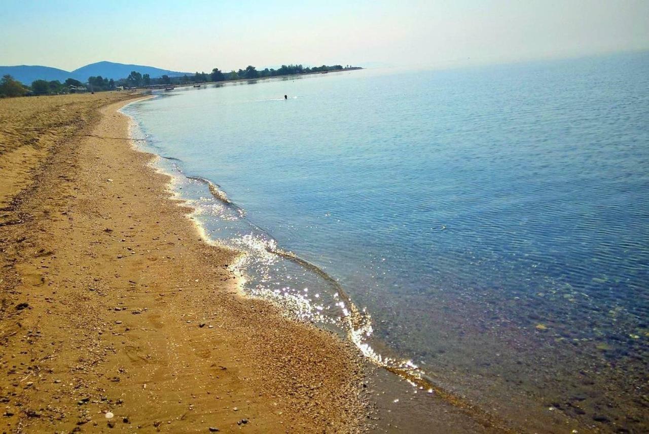 Apartment Halkidiki Mare 2 Kalyves Polygyrou