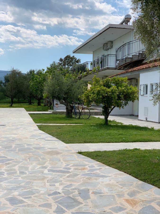 Anastasios Olive Garden * Petalidi