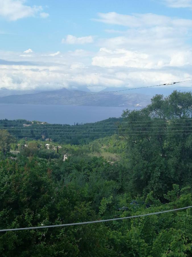 Olive Grove Deluxe Holiday home Agnitsini