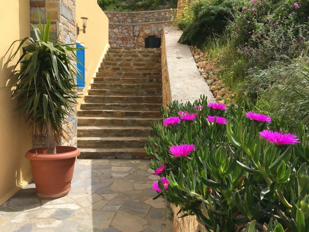 Guest house Karpathos Guest House *