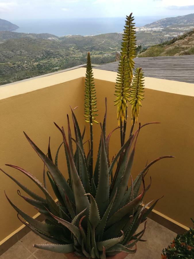 Karpathos Guest House Guest house Menetai