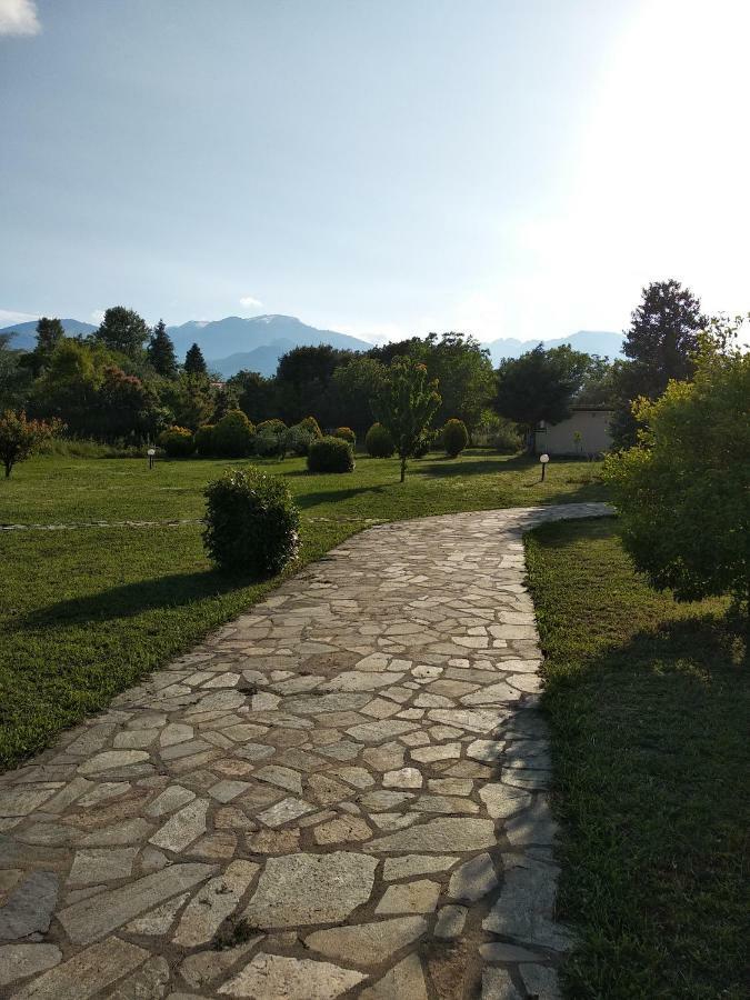 Holiday home Casa Consta Olympus