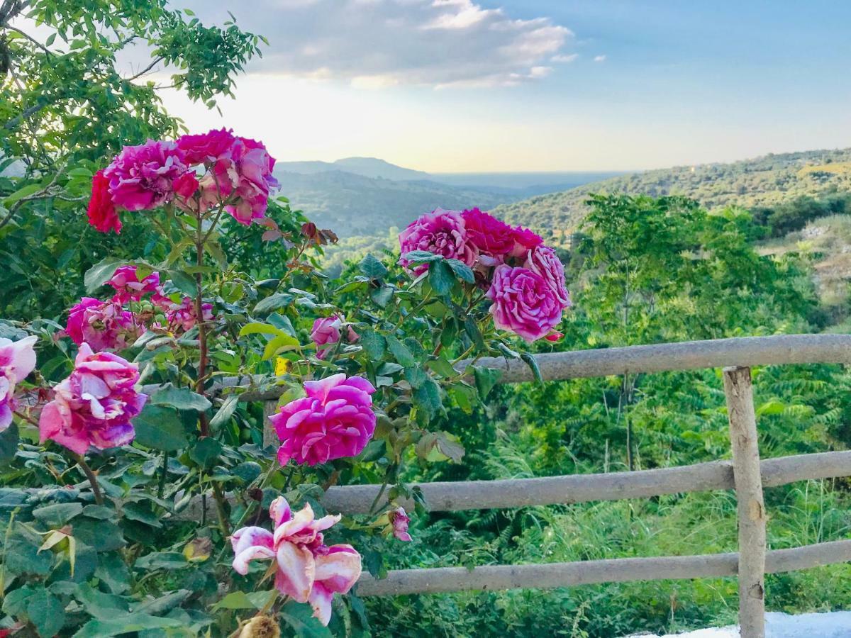 Thomas View Guest house *