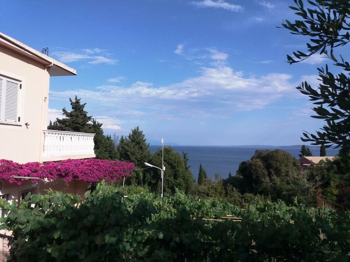 Apostolos & Eleni Family Apartment Perama (Corfu)