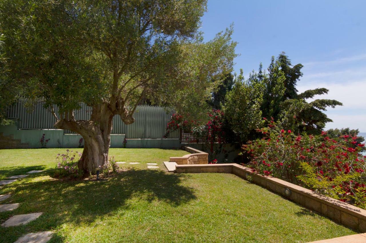 Villa Vv Luxury Experience