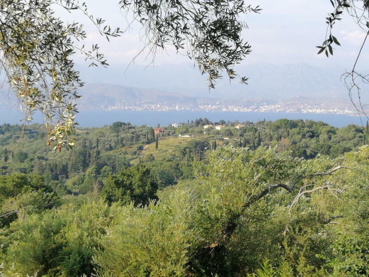 Olive Grove Deluxe Holiday home *